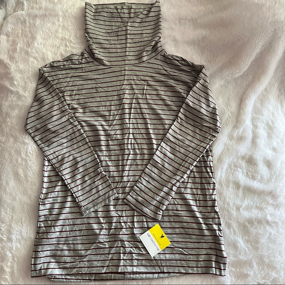 Striped Long Sleeve Turtle Neck